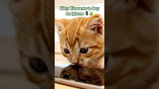 Kittykit In Apple
