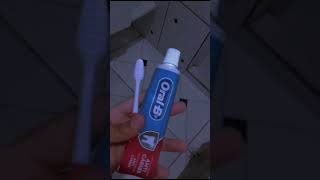 Minha Rotinada Tarde