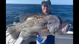 Ifish Geraldton Jigging For Coral Trout & Dhufish