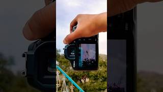 Bird Zoom Photography