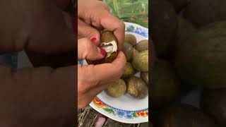 Matoa Pepeda
