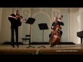 contrabass