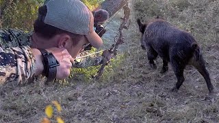 Update! Texas Public Land Deer Hunting | Full Draw on Big Bacon! | Hunting the Texas Bow Season
