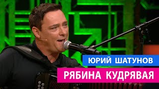 Юрий Шатунов - Рябина Кудрявая / Премьера 04.09.2021