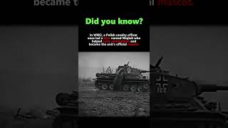 Poland Had A Bear In Its Army Wojtek