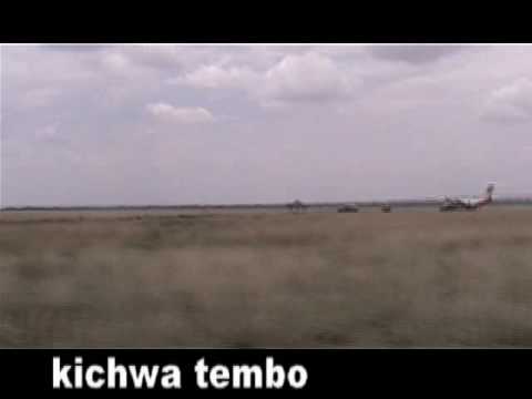 day 1 | africa : the masai mara national reserve， kenya  | sitebg