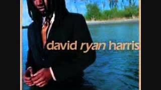 Watch David Ryan Harris King Karma video