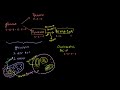 Krebs / Citric Acid Cycle