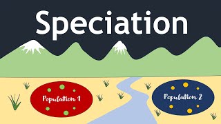 Speciation The Evolutionary Process Basic Science Series