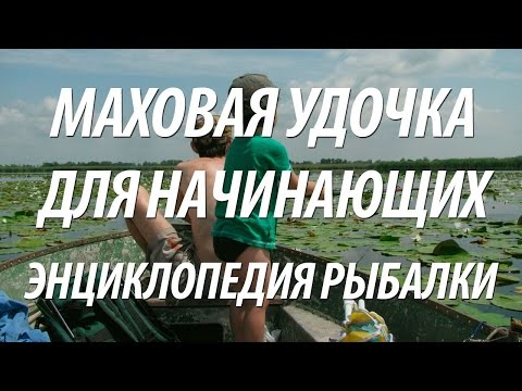 видео начинающий рыбак с чего начать видео начинающий рыбак с чего начать