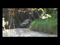 MPEG 4 Part 14