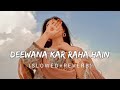Deewana Kar Raha Hai | (Slowed + Reverb) |JavedAli DarkMusic
