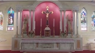 Monday 17th May. 7:15am. St Pascal Baylon. Low Mass. Corpus Christi Parish.