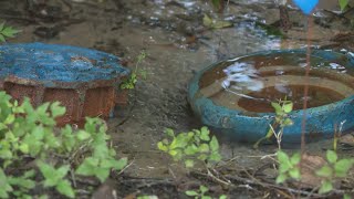 Woman Turns To Khou 11 After She Says Fire Hydrant Leaked For Months, Damaging Her Property