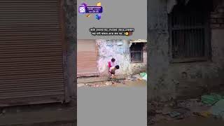 ভই বন