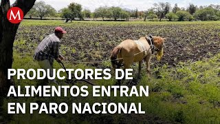 Productores Exigen Apoyos Y Mejoras Para El Campo En Michoacán