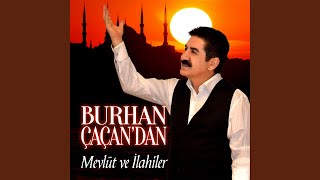 Sordum Sarı Çiçeğe