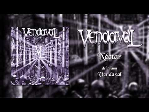 Nectar Video