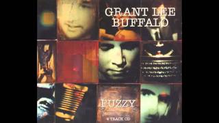 Watch Grant Lee Buffalo You Just Have To Be Crazy video