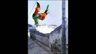 Ben 10 Waybig Green Screen