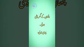 Pathan Jokespathan Jokes In Urdupathan Jokes Statuspathan Jokes Stan Urdupathan Jokes Tiktok