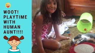 Funny Cats Playtime With Favorite Human Kid Aunt | Funny Cats