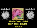 Alice in chains