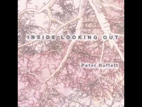 Did You Mean It? - Peter Buffett