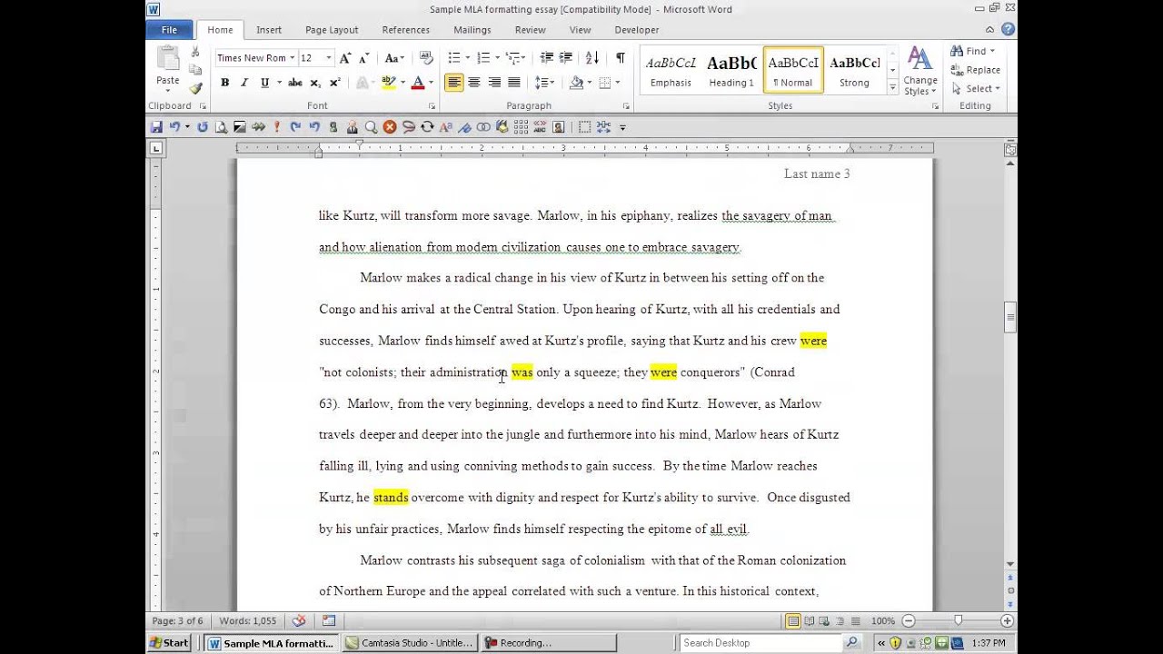 how to include a citation in an essay apa