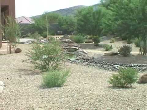Beautiful Backyard Desert Landscape - YouTube