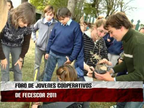 Resumen Foro Jóvenes al 08／11