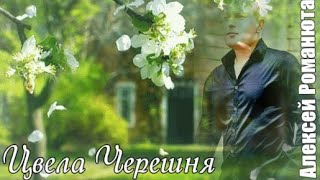 763. Алексей Романюта - Цвела Черешня. Новинки Шансона.