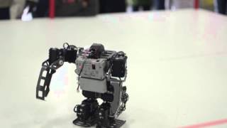 RG16 Humanoid Free Style
