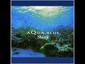 Shinji ~ The Whisper of a Stream