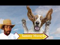 SAMMY MURAYA - MUCEMANIO WA NYAMU( OFFICIAL VIDEO)