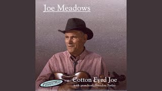Watch Stanley Brothers Cotton Eyed Joe video
