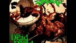 Watch Impaled Flesh And Blood video