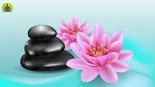 Healing Music for Removing Negative Energy l Relaxing Spa Music l Meditation Music Relax Mind Body