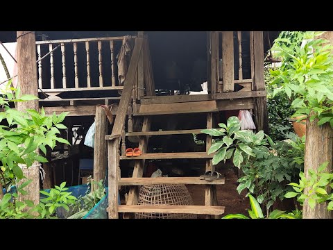 หาดูยาก บ้านเก่าแบบโบราณ ที่มีเหลือหลังเดียวในหมู่บ้านนายอ