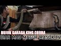 GARAGA KING COBRA AKHIRNYA MAU MASUK TV