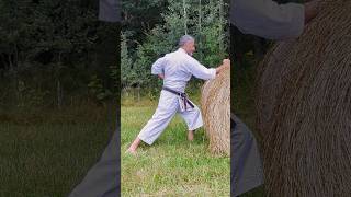 Tetsui Uchi - Shuto Uchi. Kaaku Karate