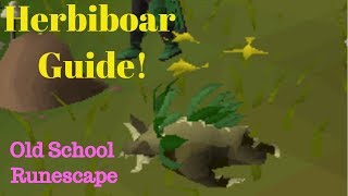 Old School Runescape Hunter - Herbiboar Guide -
