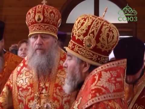 ЖЛОБИНСКИЙ ТРОИЦКИЙ СОБОР - Древо