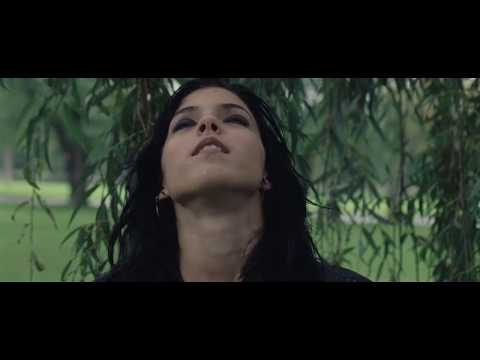 Moment Video