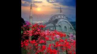 Fehmi Eren - Hiç Gittinmi O Menzile