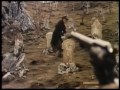 Online Film Django, Prepare a Coffin (1968) View