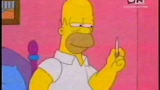 The Simpsons On Cartoon Network Philippines, 2007 Recreation