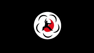 2 minutes pour découvrir le Mei Hua Zhuang et notre association européenne