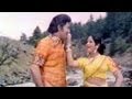 Malle Puvvu Songs - Chaka Chaka Saage - Shobhan Babu, Laxmi,Jayasudha - HD