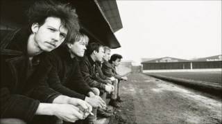 Watch Half Man Half Biscuit Arthurs Farm video